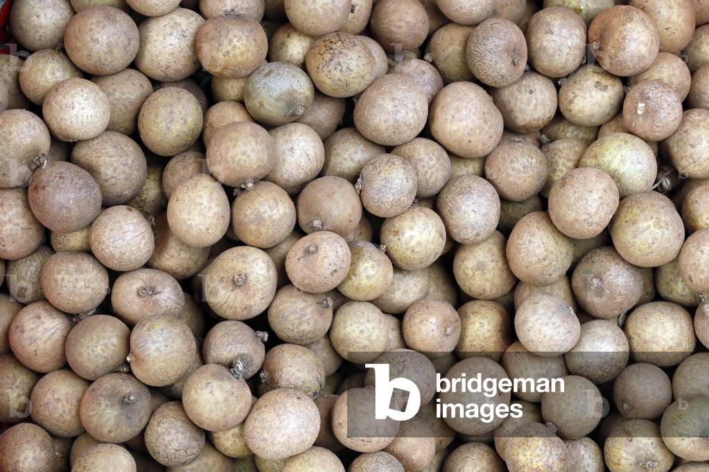 Dimocarpus longan, commonly known as the longan, Fruits for sale at market, Vietnam (photo)