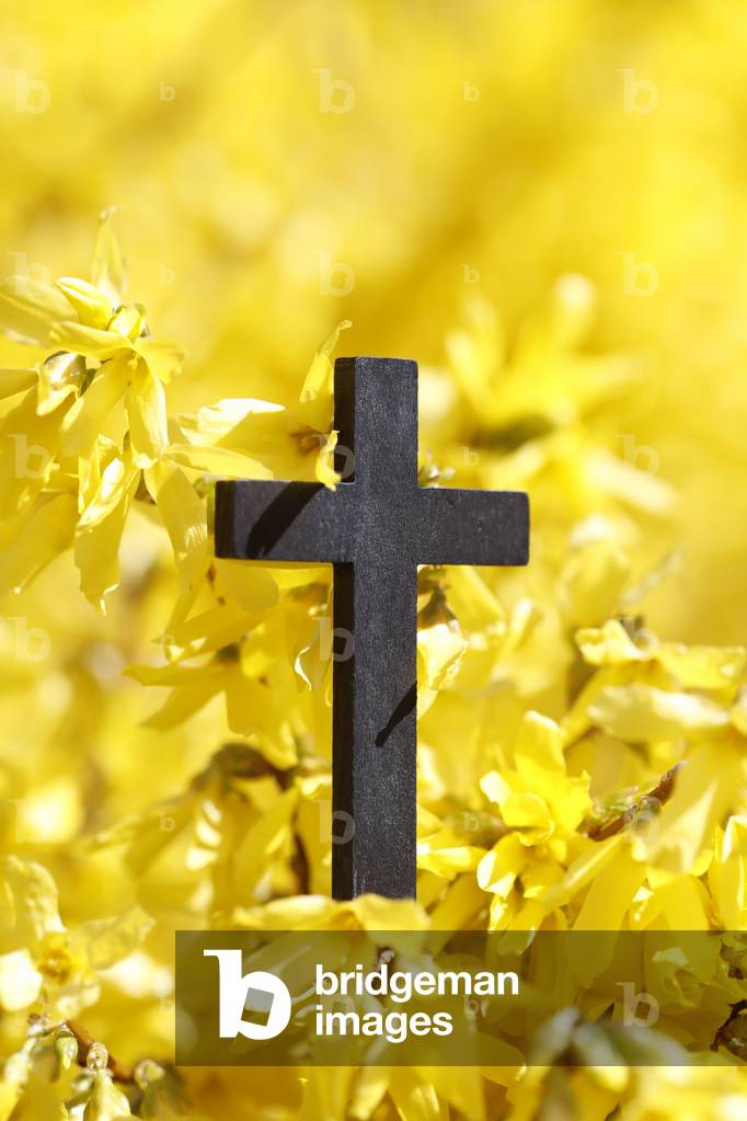 Christian cross against yellow broom flowers (photo)