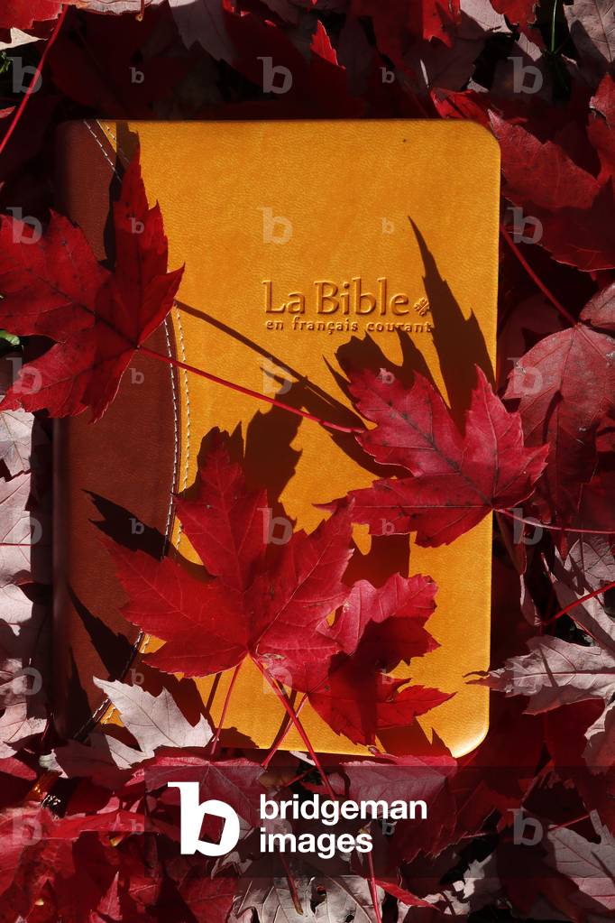 Bible with dry fallen autumn red leaves. Faith and spirituality. France.