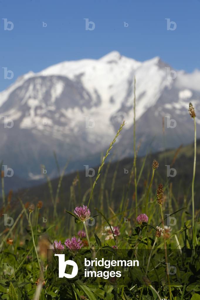 The Mont Blanc massif, the highest mountain of Europe seen from the french side on a beautiful summer day.   France.