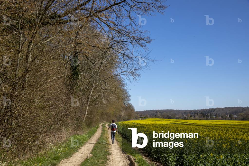Young man walking on a country path. Eure, France.