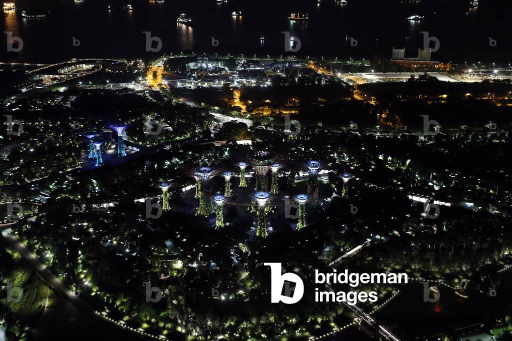 Garden by the Bay at night,  Singapore,  2018 (photo)