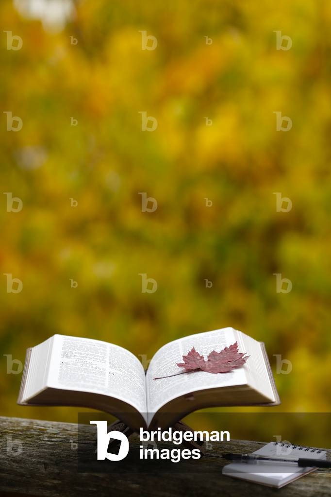 Open bible on a bench with  dry fallen autumn leaf. Faith and spirituality.  France.