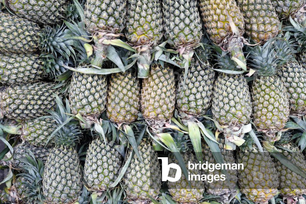 Pineapple for sale at market, Vietnam (photo)