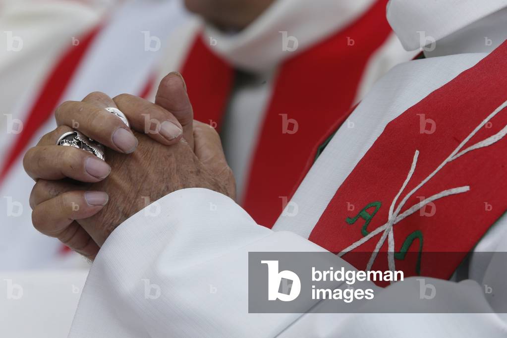 Paris, Ile-de-France, France, le 27/6/2015 - Priest ordinations at Notre-Dame de Paris cathedral. Notorious priest Guy Gilbert.