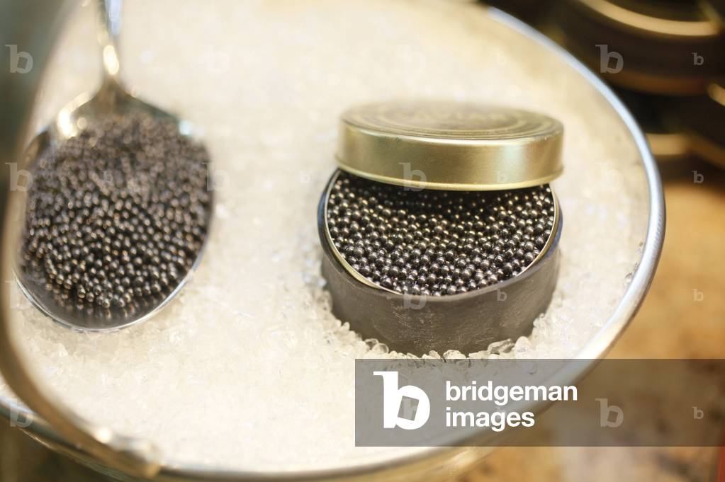 Russian caviar. Saint Petersburg Russia