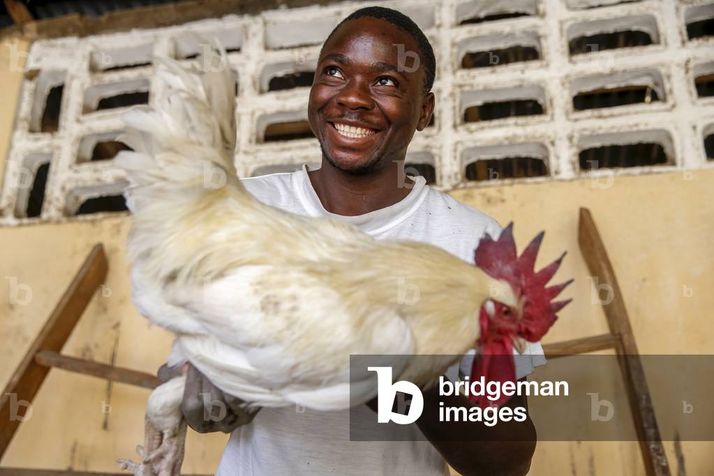 Farm run by a catholic NGO in Dapaong, Togo, 2019 (photo)