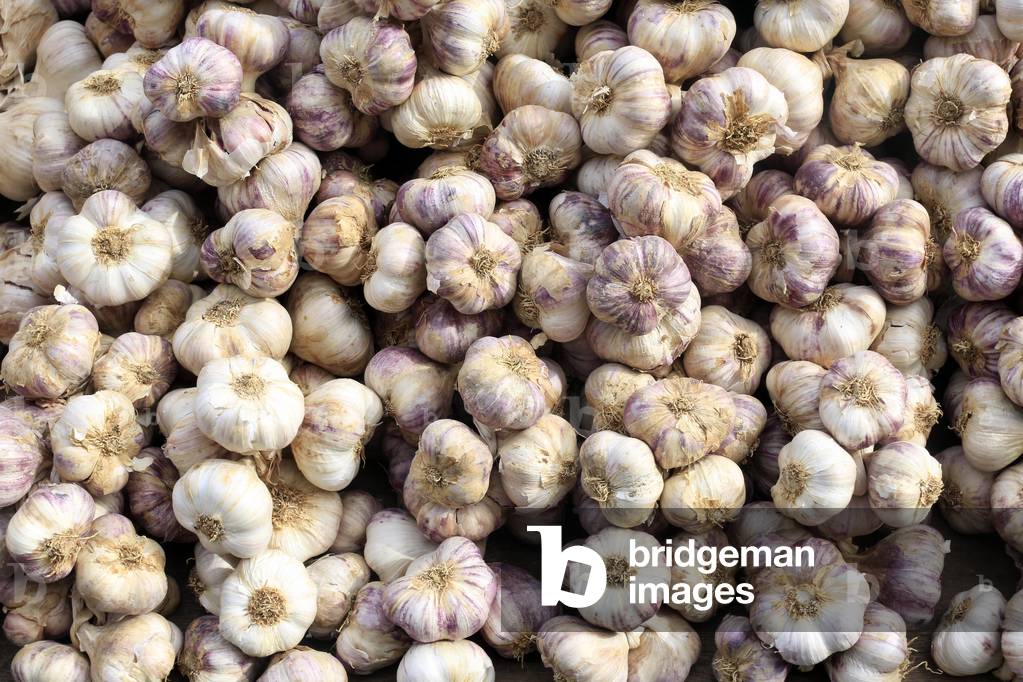 Purple garlic on a market. France