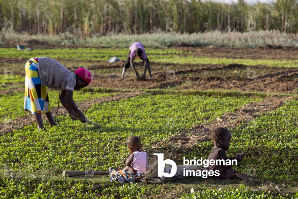 Togolese mother tending a field in Karsome, Togo (photo)
