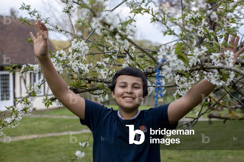 Boy with raised arms under a cherry tree. Eure, France.