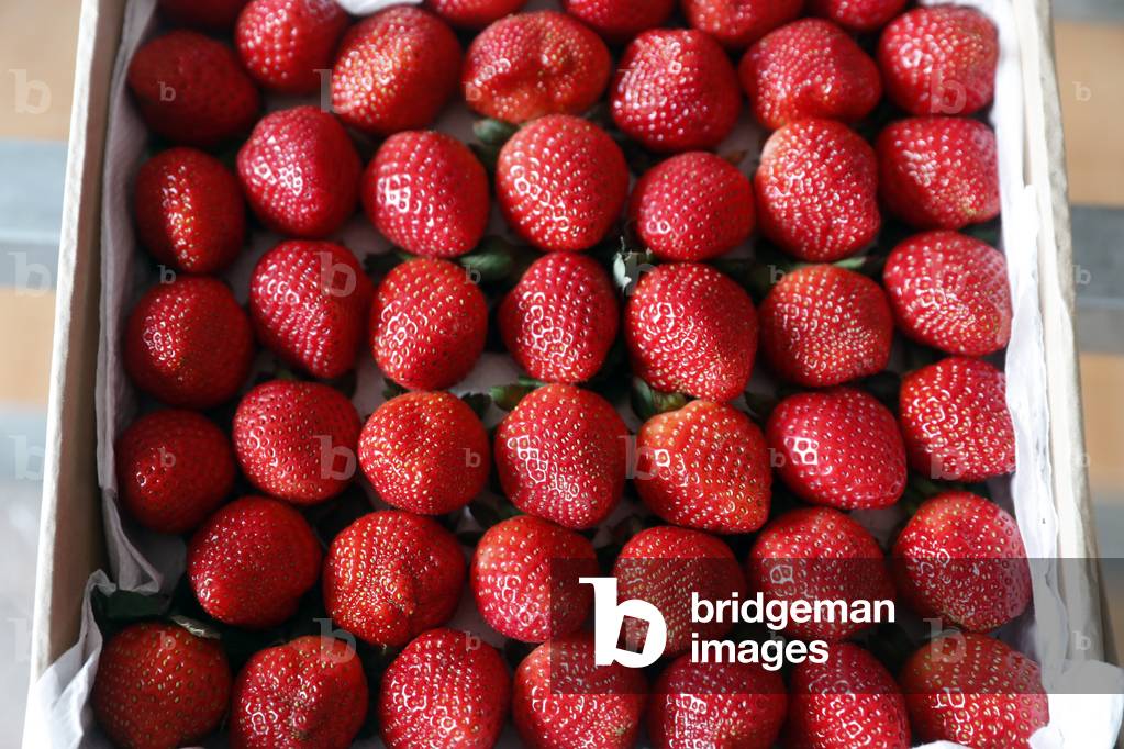 Fresh strawberries for sale at street market, Dalat, Vietnam (photo)