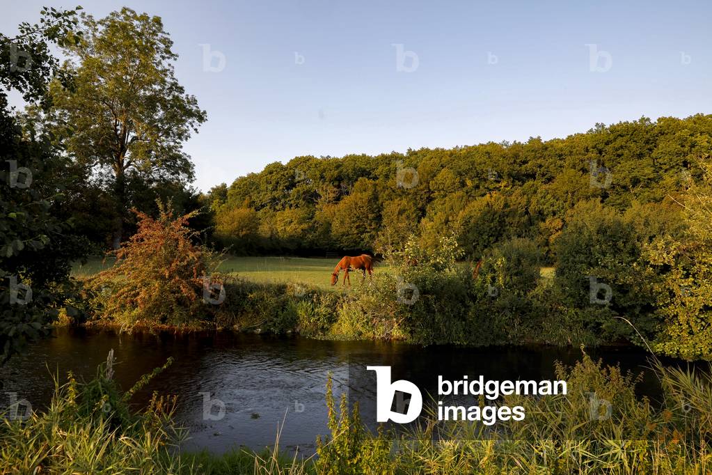 Risle river valley, Eure, France, late summer