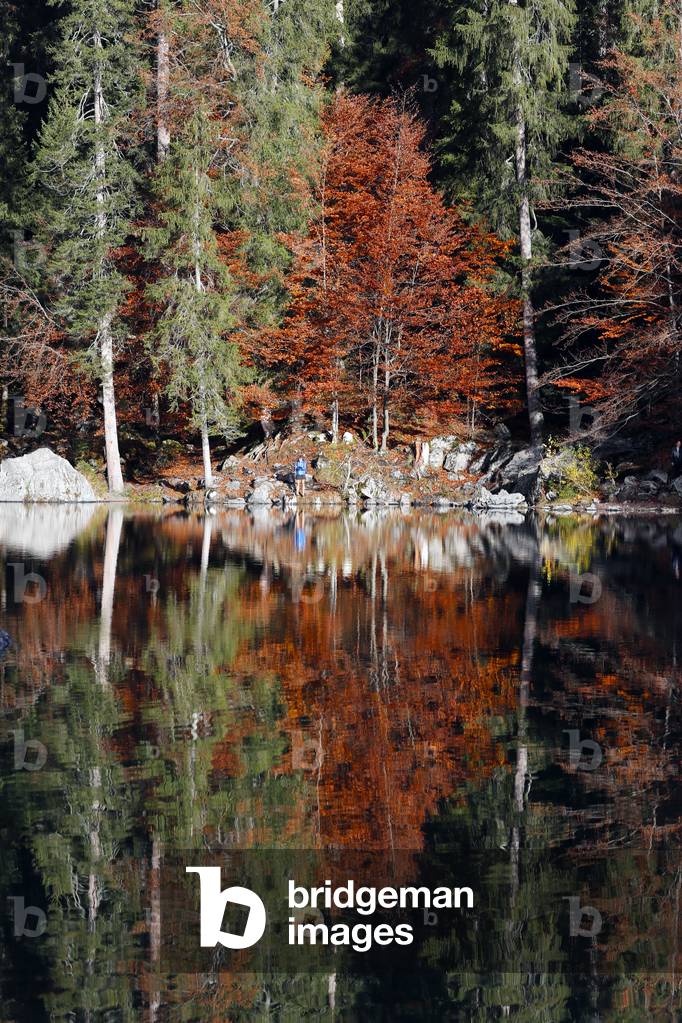 The Green Lake ( Lac Vert ) in autmn. French Alps.  France.