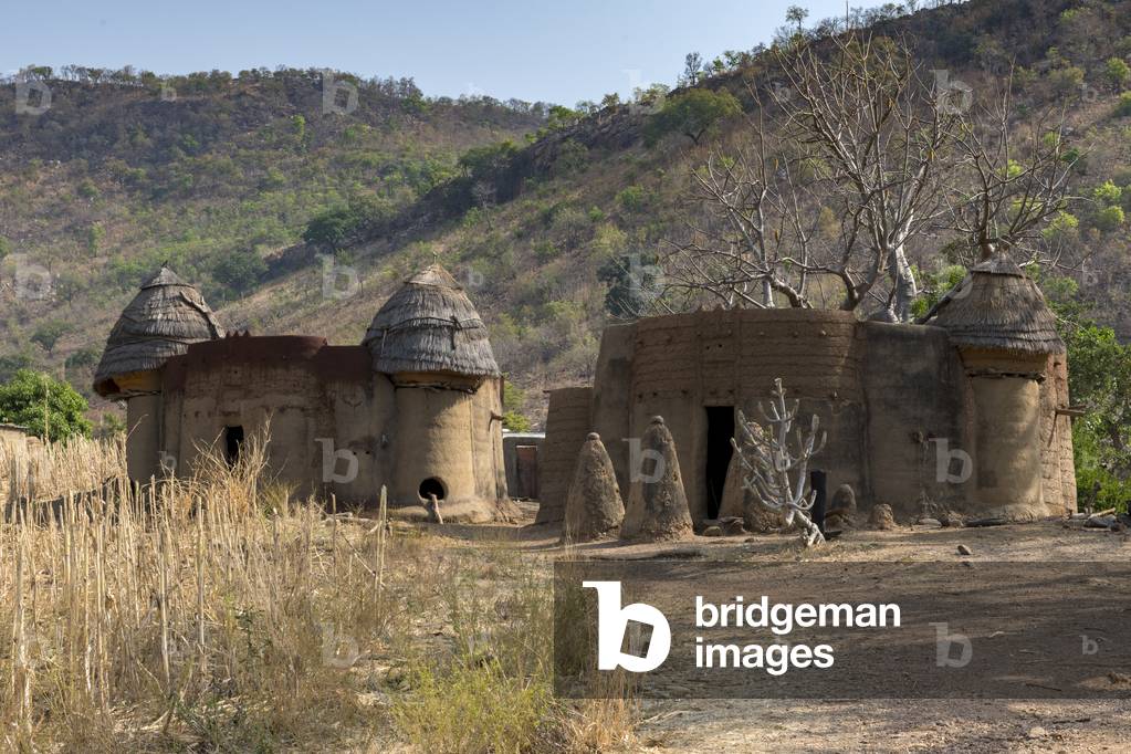 Earth tower house, called « takienta » of Batammariba people in Koutammakou region, inscribed on the World Heritage List in 2004 as a cultural landscape