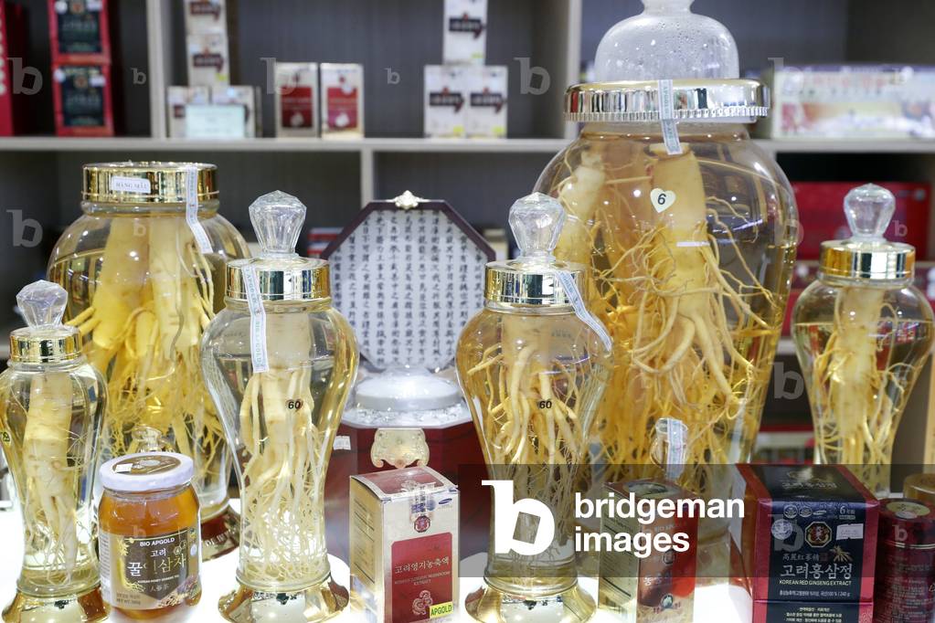 Ginseng (Panax ginseng), Roots of different shape and sizes in alcohol for sale, Ho Chi Minh City, Vietnam (photo)