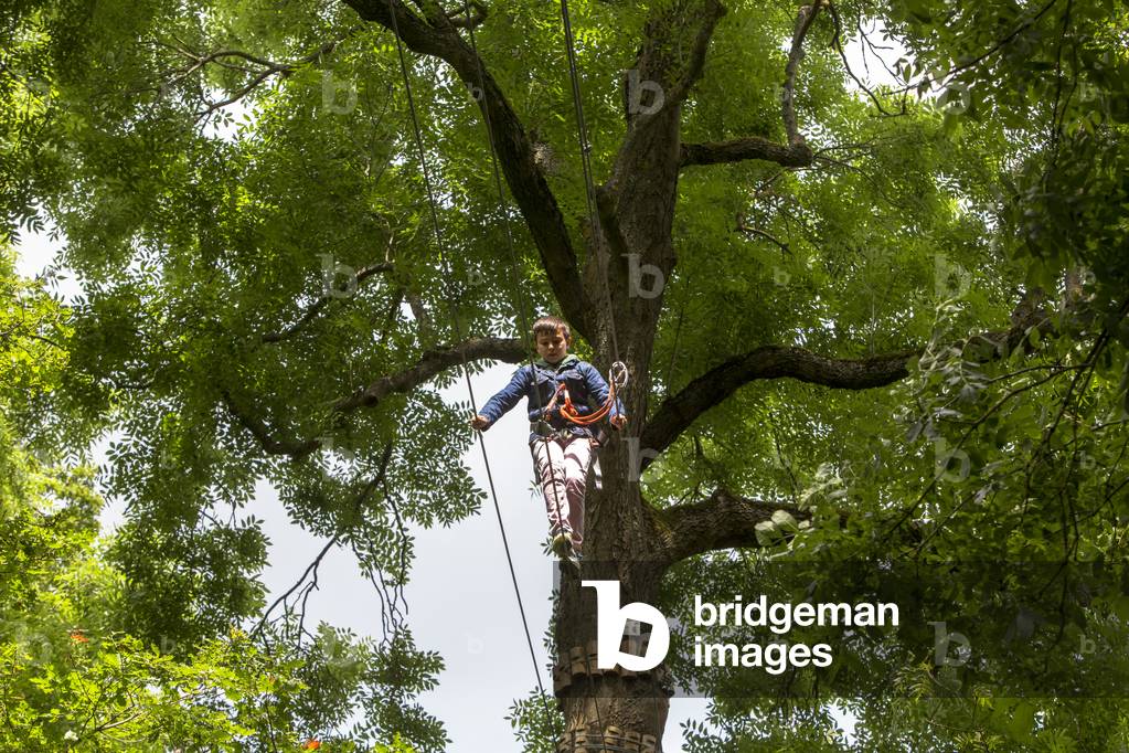 11-year-old boy on a rope course, France (photo)