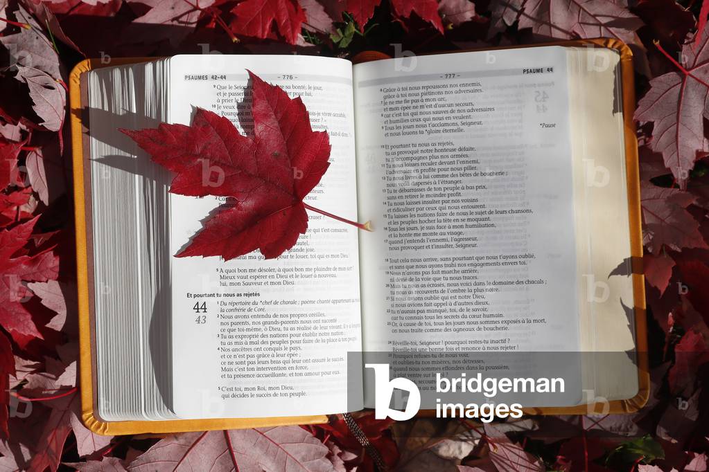 Open bible on a bench with  dry fallen autumn red leaves. Faith and spirituality. France.