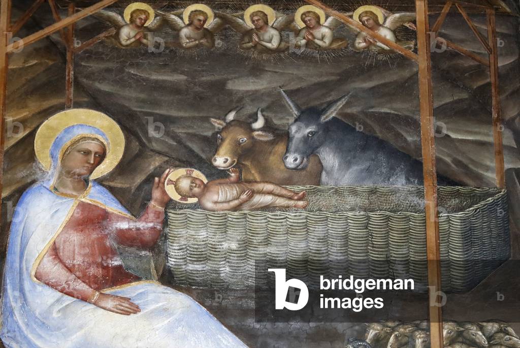 The Padua Baptistery. Ceilling frescoes  14th century by Giusto de Menabuoi.  The nativity of Christ.  Padua. Italy.  (photo)