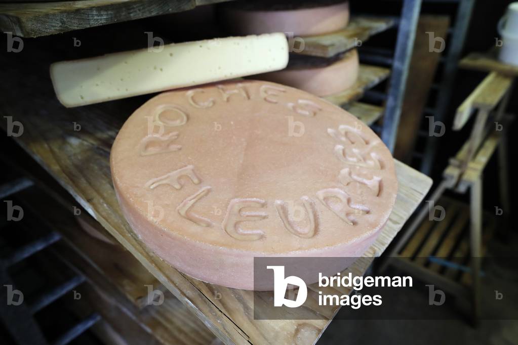 Traditional cheese factory in the french Alps.  Wheels of cheese ( Raclette ) maturing on shelves in storehouse dairy cellar.  France.