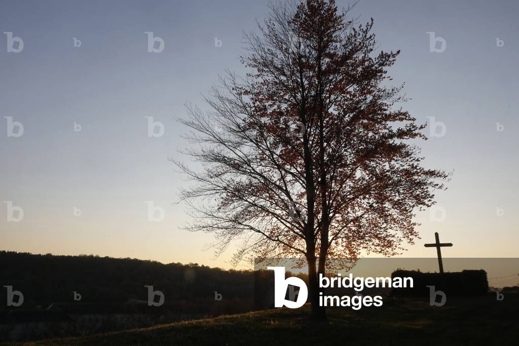 Tree and cross at dusk at Le Bec Hellouin, Eure, France, 2020 (photo)