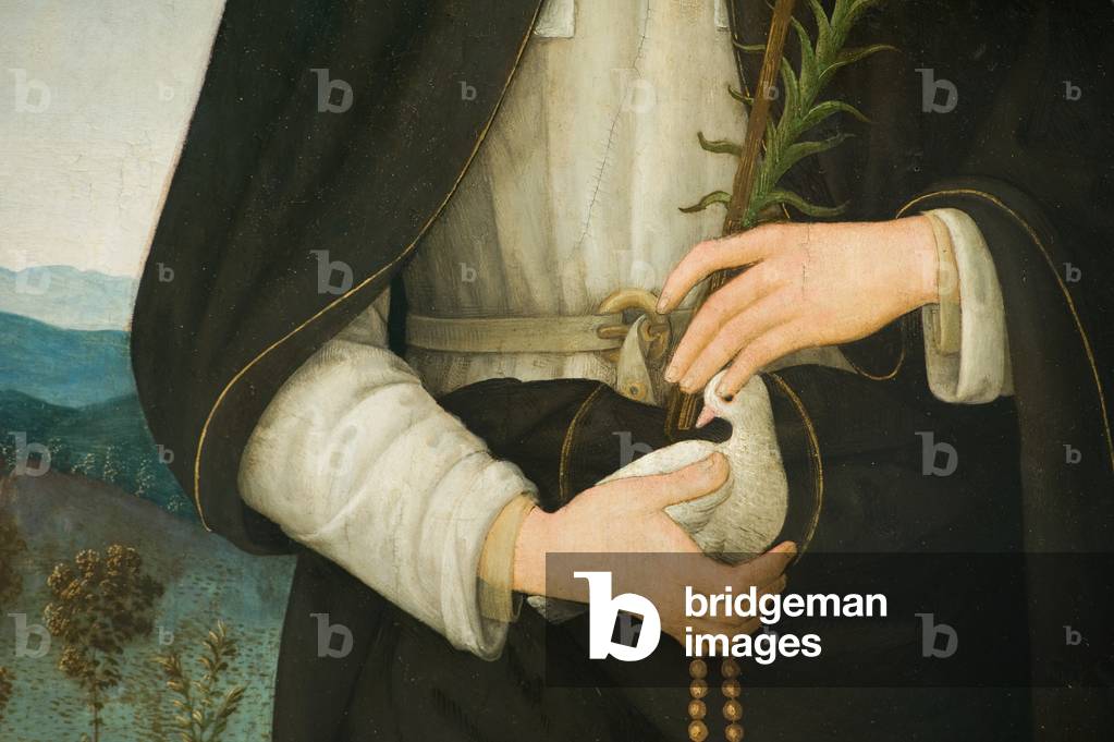 Blessed Colomba da Rieti, detail, c.1500-10 (oil painting)
