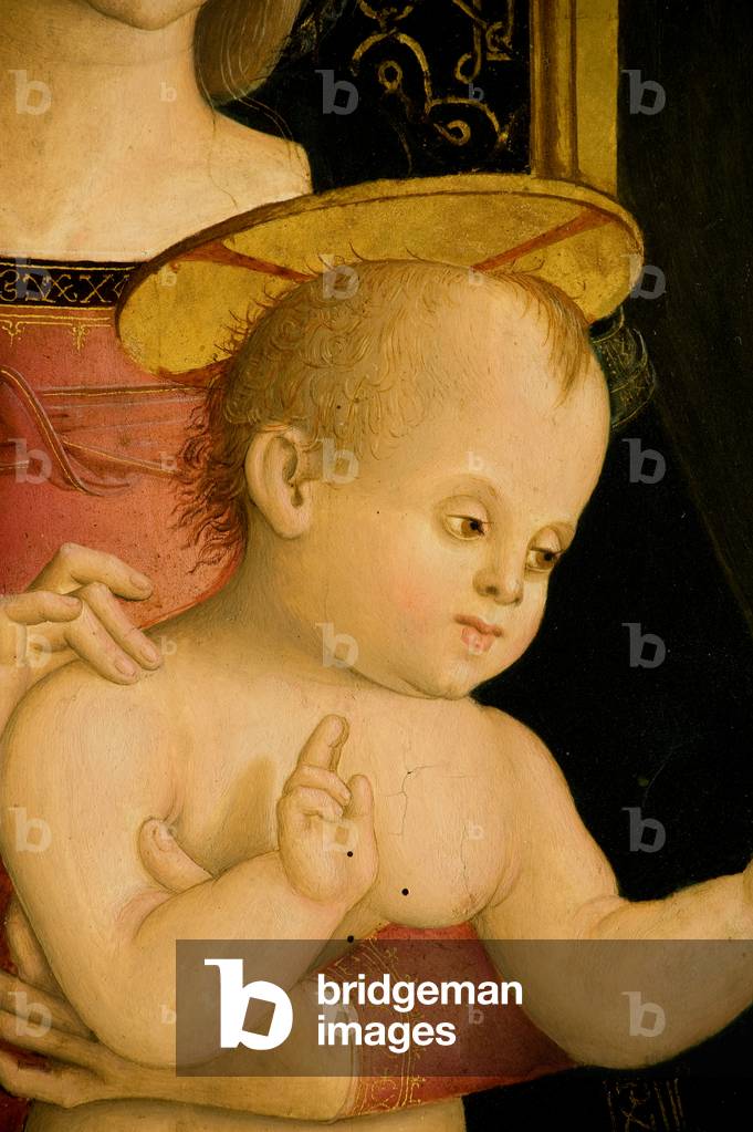 Madonna with Infant Jesus Enthroned, St. Augustine and St. Sebastian, c.1506-1508 (oil on canvas)