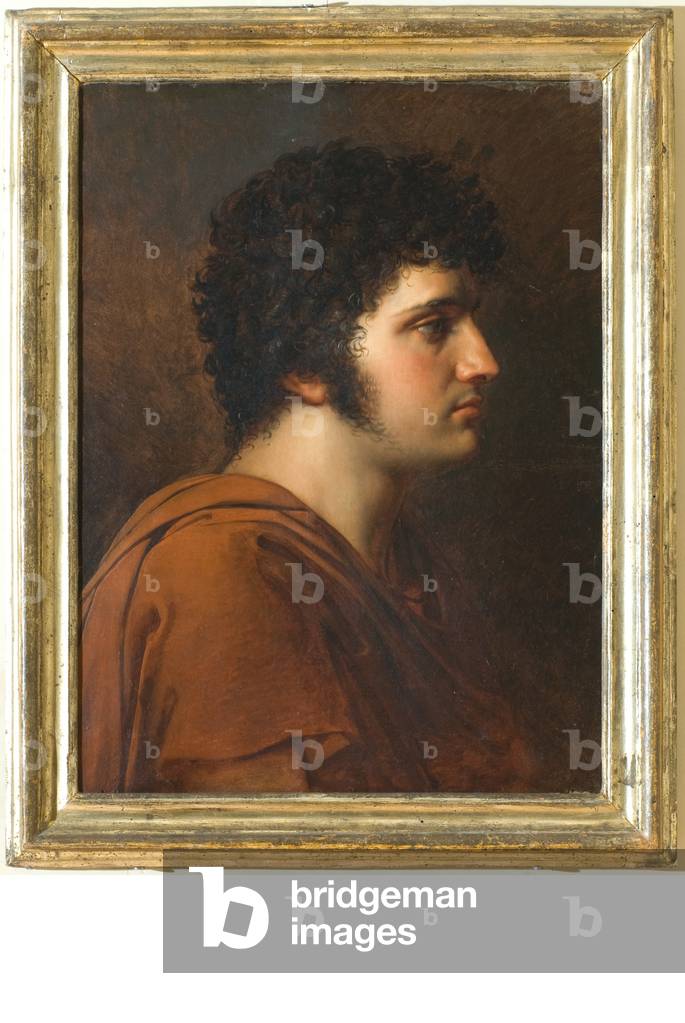 Portrait of Gaetano Crivelli, c.1796-1834 (oil on paper)