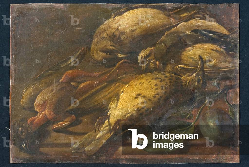 Still life with thrushes, c.1700-1799 (oil on canvas)