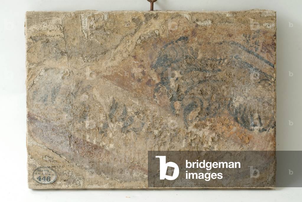 Grifo's paw, c.1500-1550 (staccato fresco)