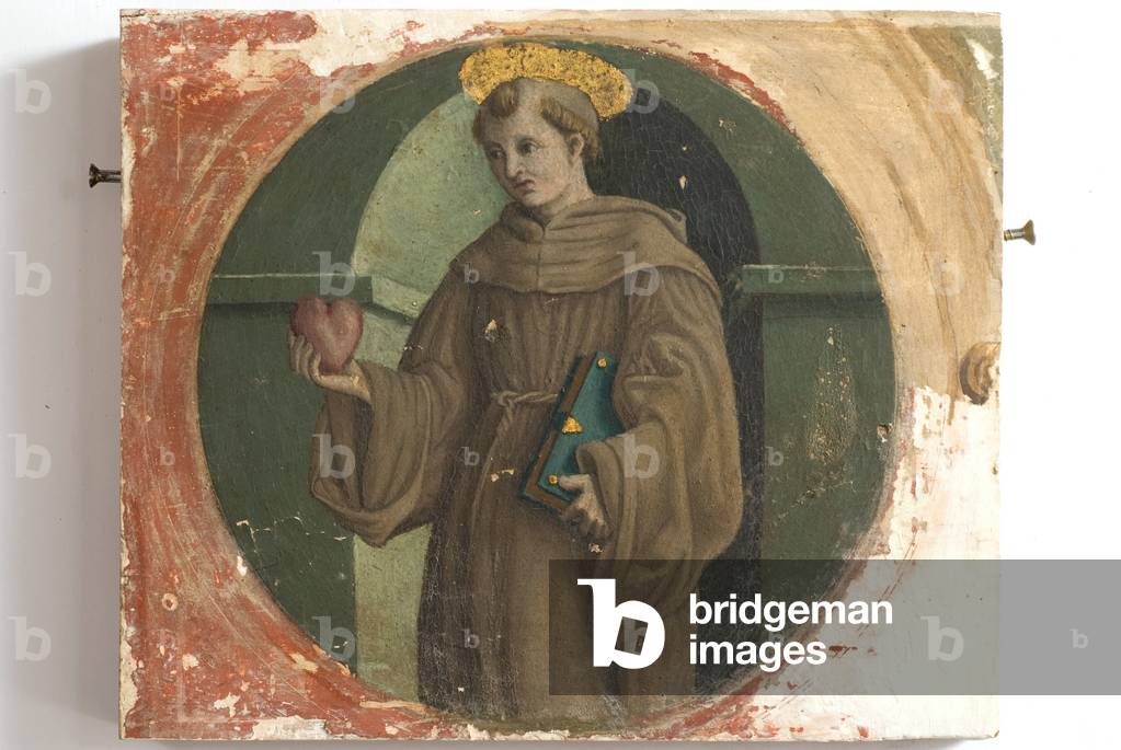 St. Anthony of Padua, c.1509-1522 (tempera on board)