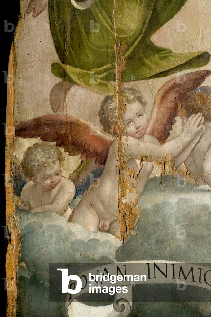 Immaculate conception (detail), c.1562-1565 (oil on board)