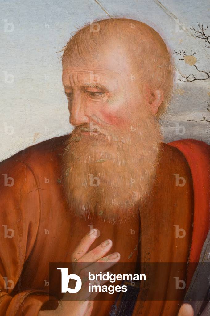 Holy family with Saint Anne, Saint Joachim and Saint Giovannino (detail), c.1508-1540 (tempera on table)