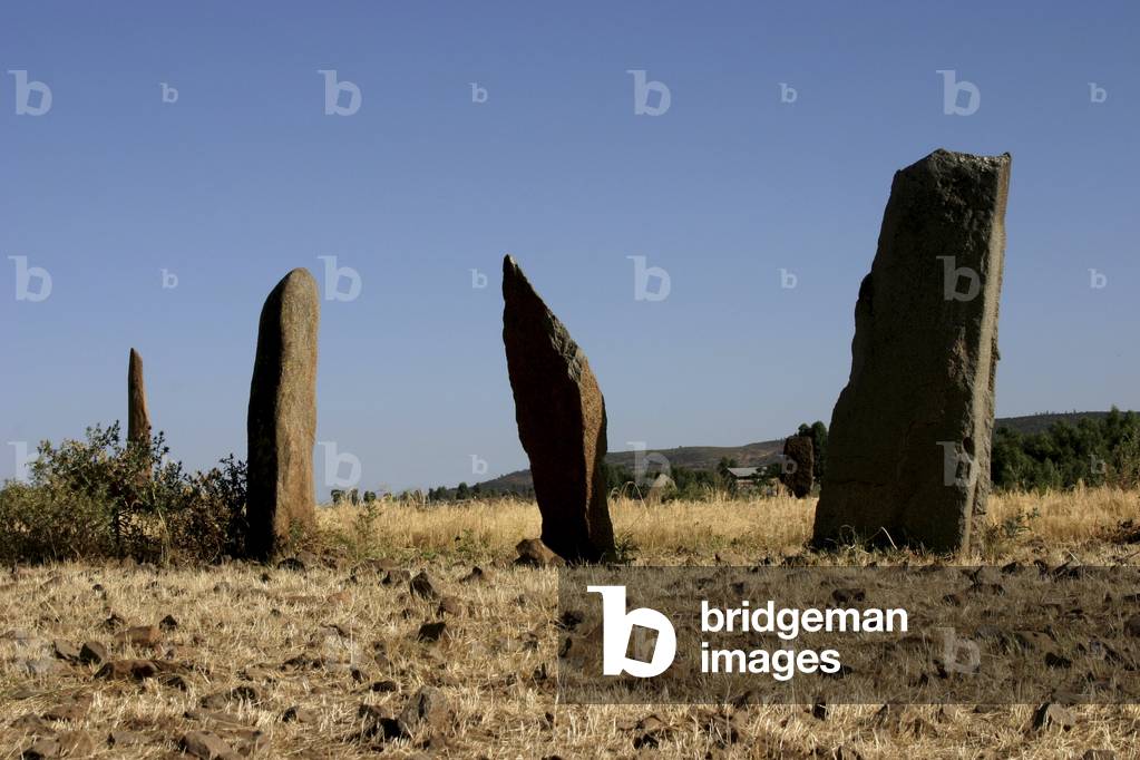 Gudit Stelae Field Axum