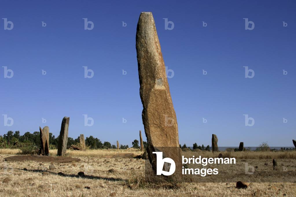 Gudit Stelae Field Axum