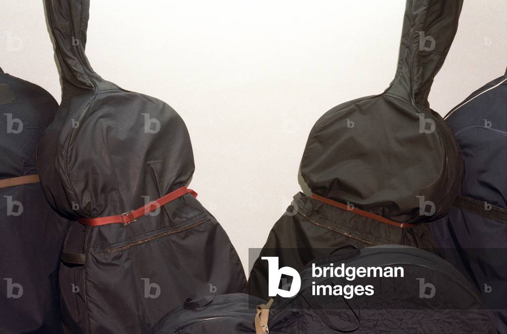Double basses in cases