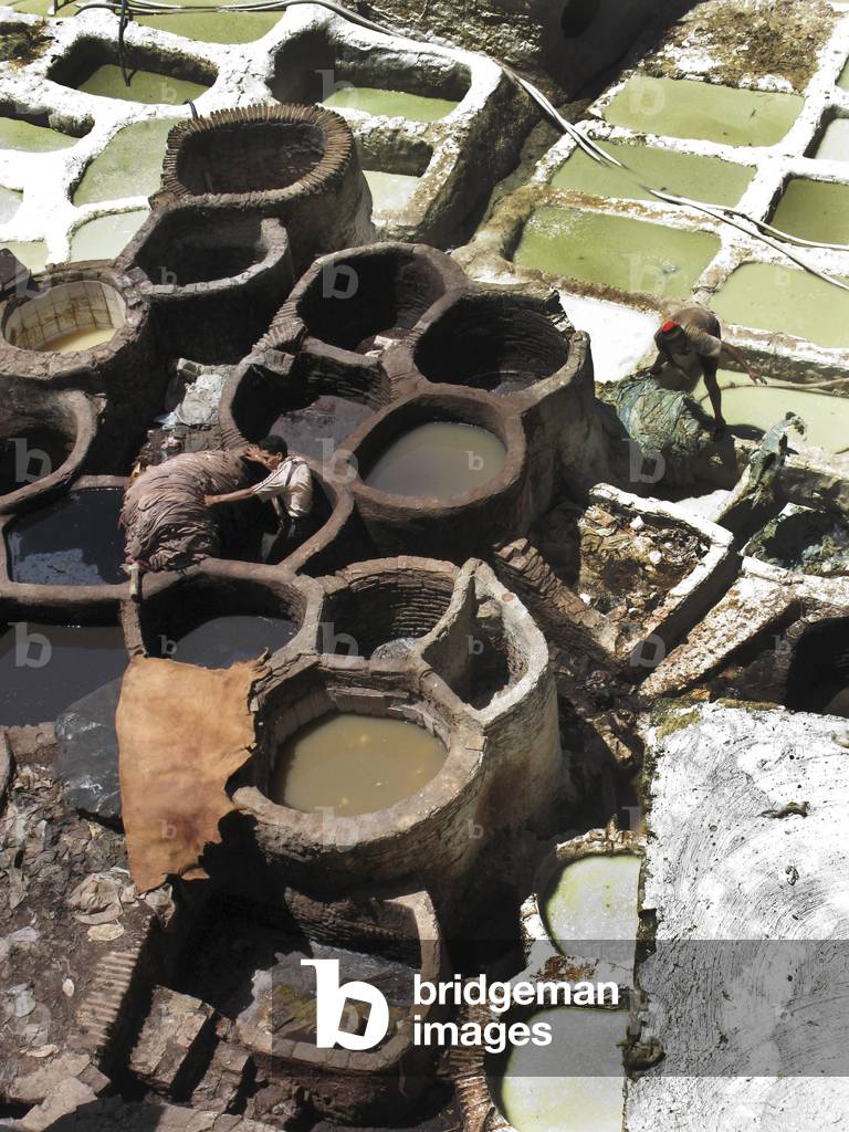 Vats in the tanneries of Fes