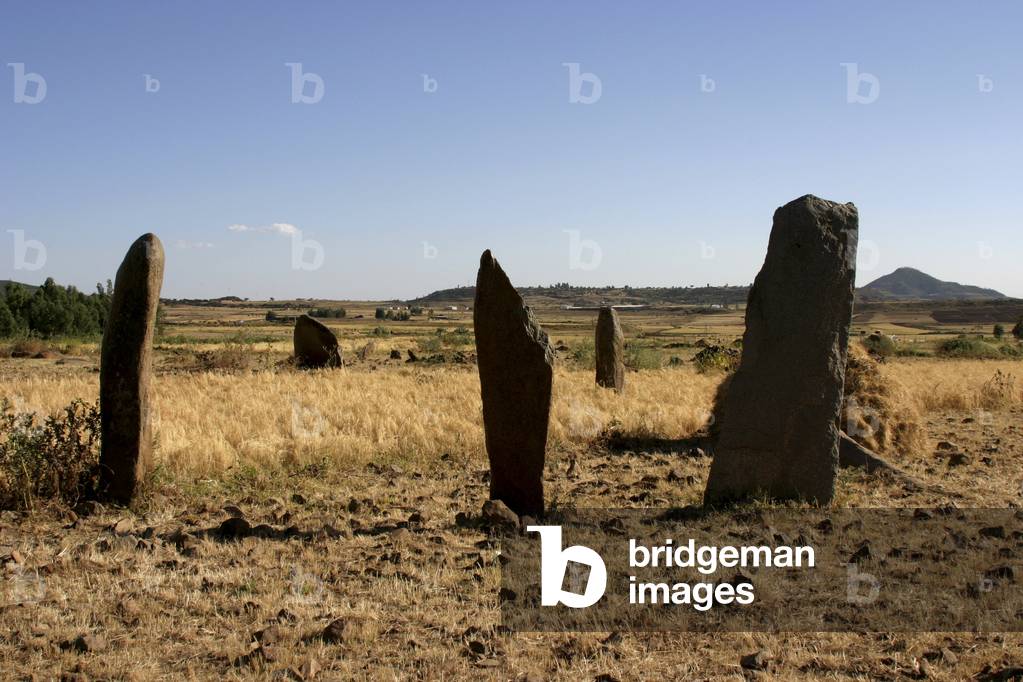 Gudit Stelae Field Axum