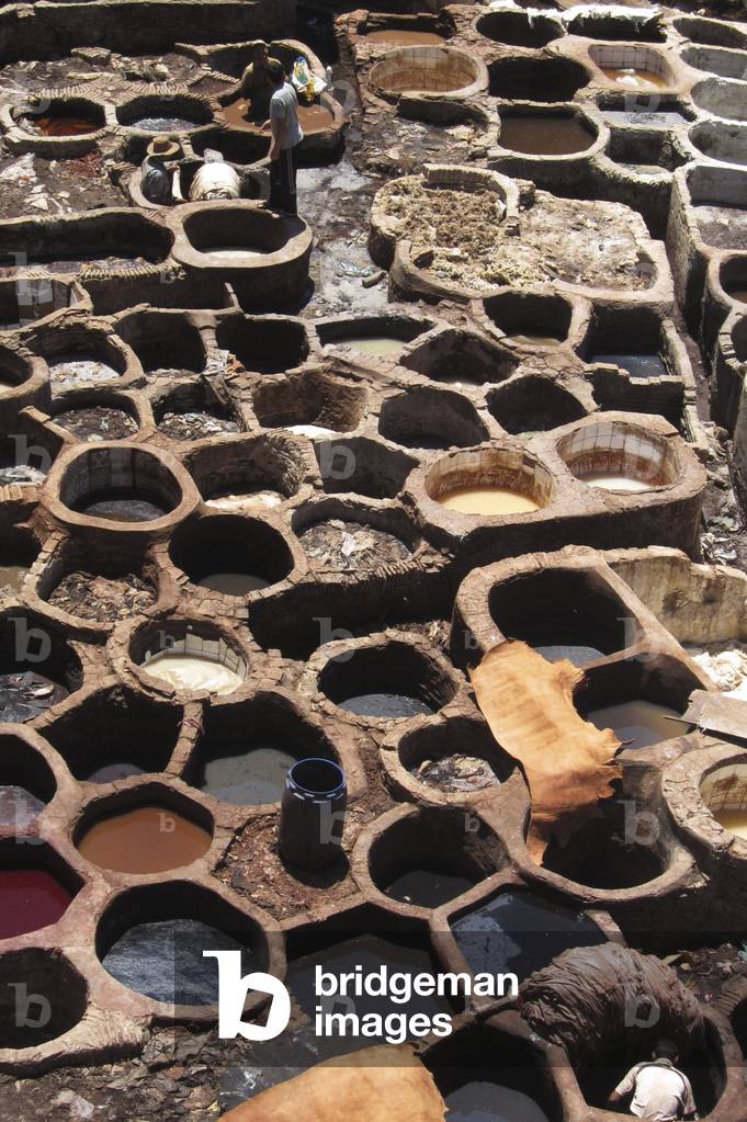 Vats in the tanneries of Fes