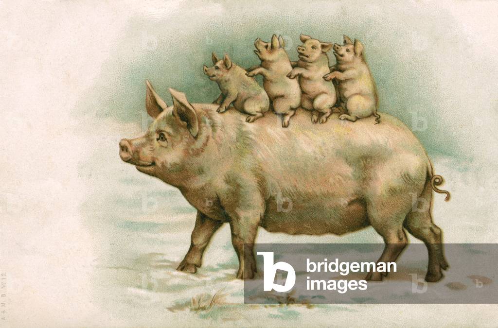 Four Piglets Riding on Their Mother's Back, 1898 (chromolithograph)