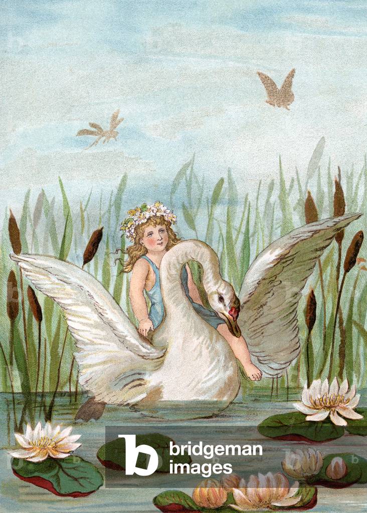 Fairy Riding a White Swan Among Cattails and Lilypads, 1882 (chromolithograph)