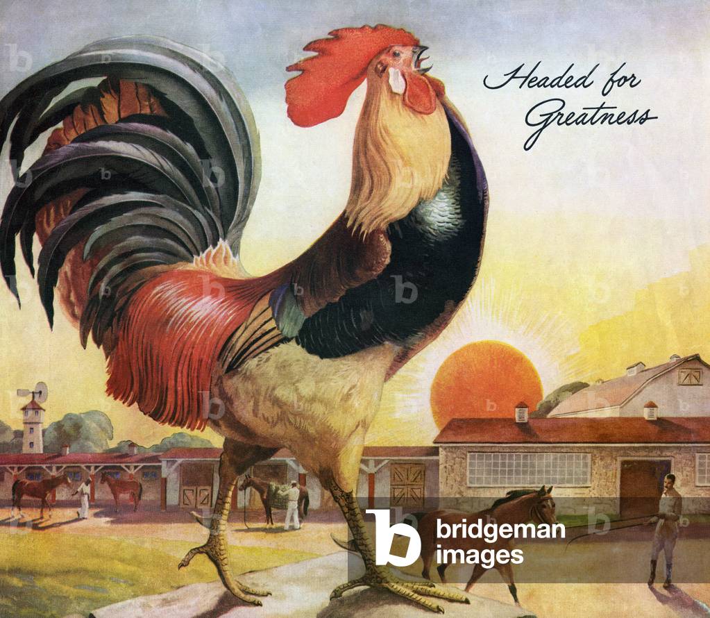 Giant rooster crowing at sunrise, 1946 (screenprint)
