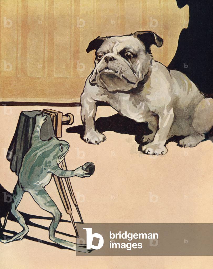 Bulldog Getting His Picture Taken by a Frog, 1909 (colour litho)