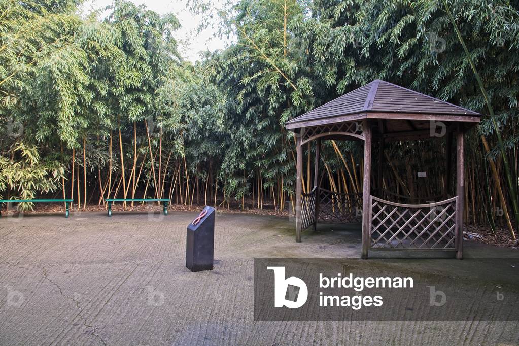 Fontanellato, Labirinto della Masone, by Franco Maria Ricci: one corner in the labyrinth with bamboo plants,  (photo)