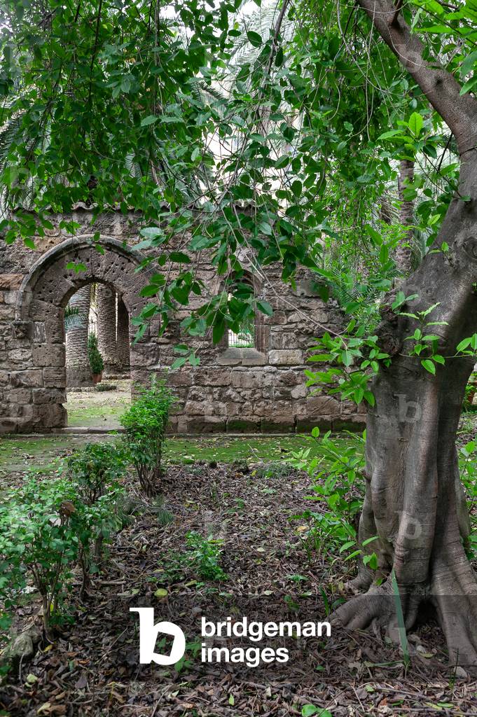 Botanical Gardens: the remains of the Church of St. Dionysius in Chiaramontano Gothic style, Palermo, Sicily, Italy (photo)