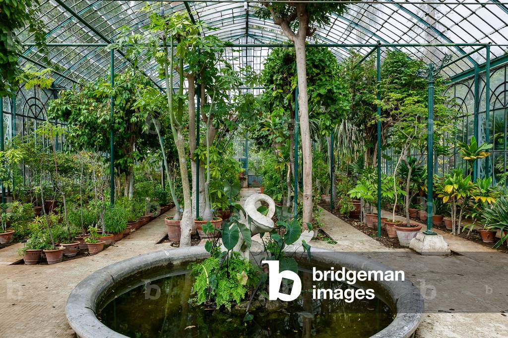 Botanical Gardens: partial view of a greenhouse, Palermo, Sicily, Italy (photo)
