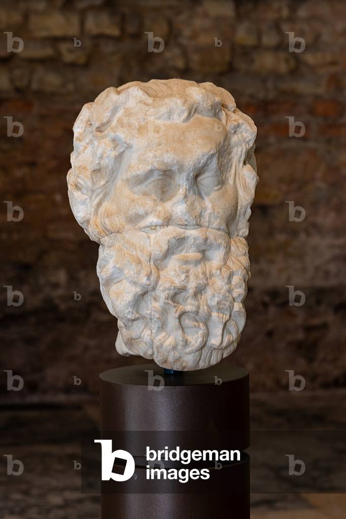 Head of Sileuns