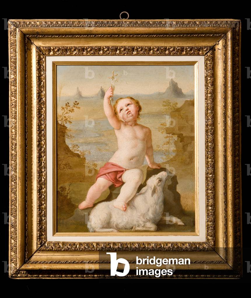 Infant St. John (oil on cardboard)