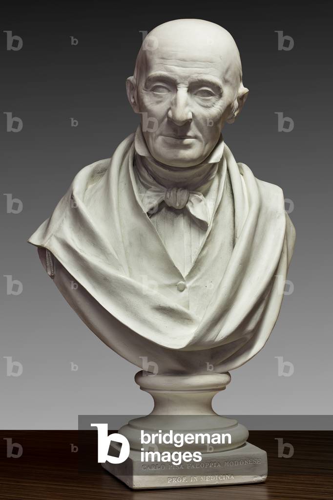 Bust of Carlo Pisa Faloppia, Modena teacher, 1855 (scagliola)