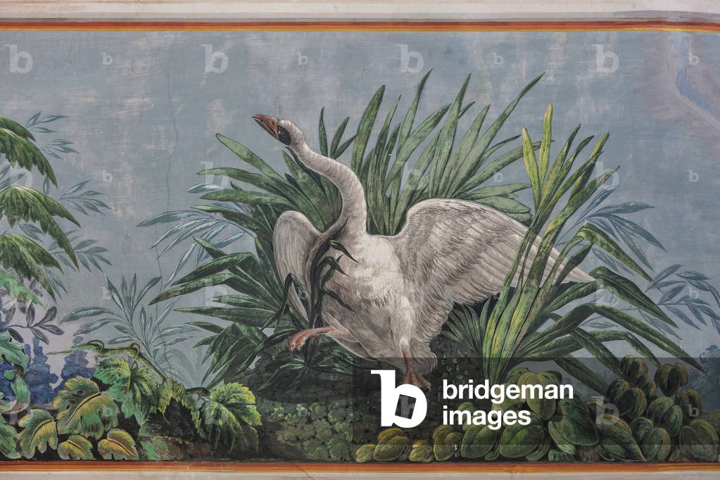 Swan, detail of 3743687 (fresco)
