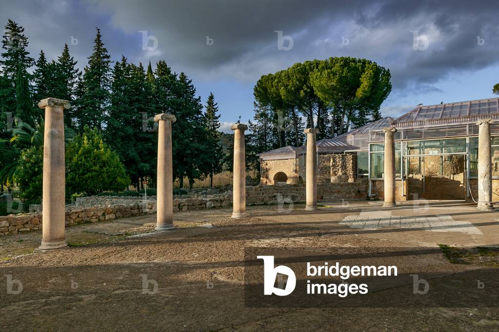 View of columns of the villa, Piazza Armerina, Roman Villa of Casale, Sicily, Italy (photo) (photo)